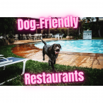 5 Best Pet – Dog-Friendly Restaurants Nairobi