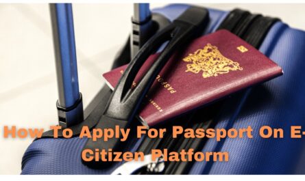 Ecitizen passport application