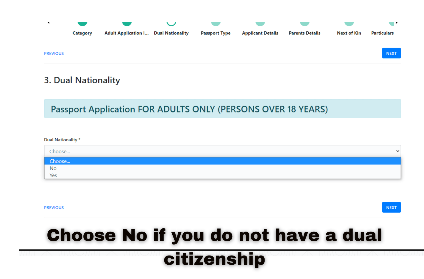 dual citizen passport application min
