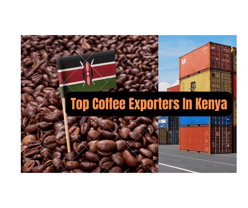 Top Coffee Exporter In Kenya