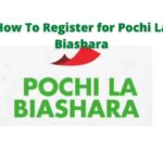 What Is Pochi La Biashara ? and How To Register for Pochi La Biashara