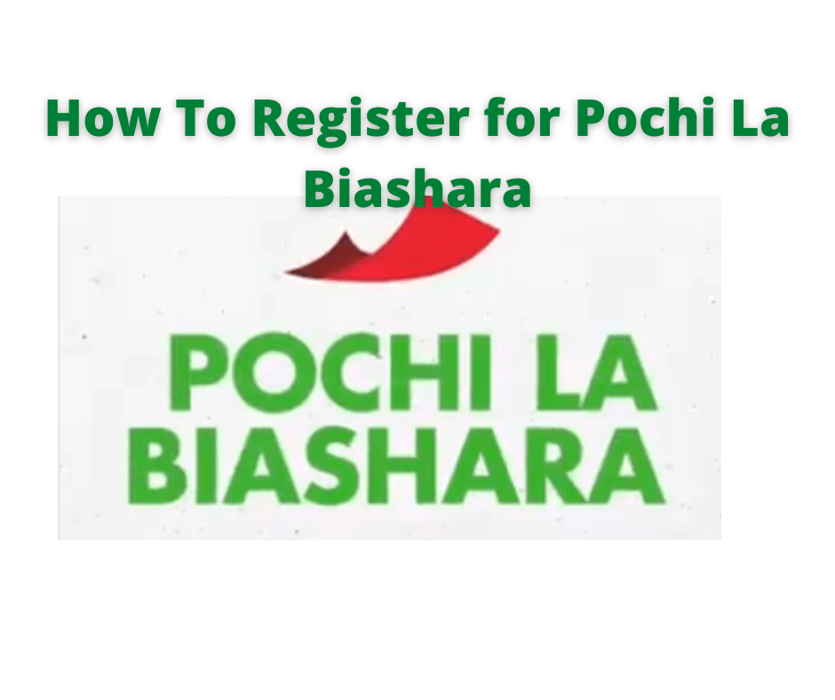How To Register for Pochi La Biashara