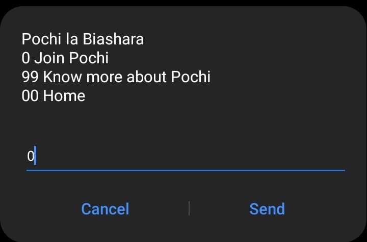 Joining Pochi la Biashara